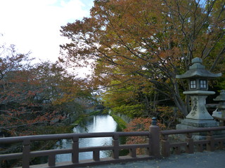 Maple Trees At Omihachiman Moat In Shiga Japan