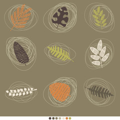 card with illustrations of plant leaves. For nature lovers. The theme of the summer. It can be used for packaging, invitations, postcard holiday, fabrics and etc.