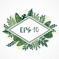 frame with illustrations of plant leaves. For nature lovers. The theme of the summer. It can be used for packaging, invitations, postcard holiday, fabrics and etc.