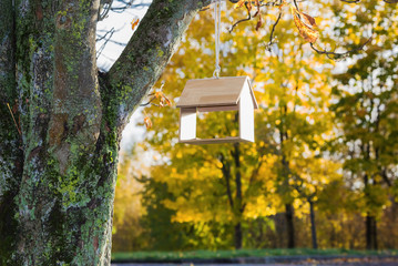 The birds feeder fixed on a tree in the autumn park