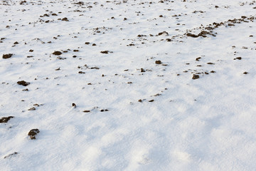 after snowfall