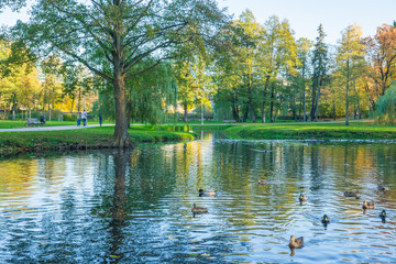 Arkadijas  park in Riga, district agenskalsns. Autumn, yellow tree leaves and reflection. 2017