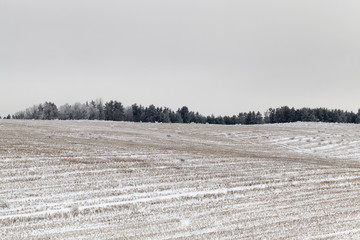 Winter landscape with forest