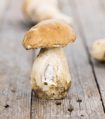 Porcinis on a vintage background (close-up shot)