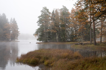 Naklejka na ściany i meble Misty autumn morning by lakeside in Farnebofjarden national park in Sweden