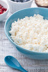Organic Farmers cheese, Cottage cheese, Curd cheese, Tvorog or Ricotta cheese in a blue bowl. Closeup view