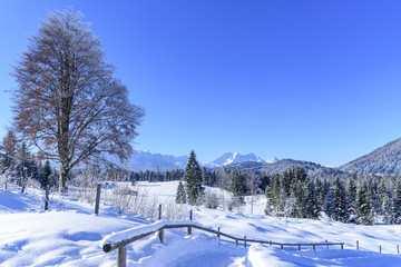 verschneite Natur im Werdenfelser Land