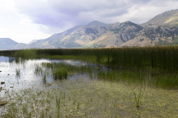 mountain lake in matese park