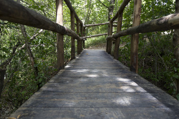 wooden bridge on mountain in gole quirino
