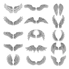 Monochrome illustrations set of different stylized wings for logos or labels design projects. Vector pictures set