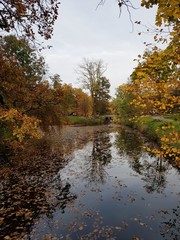 Staw w parku jesienią