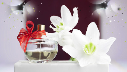 bottle of perfume, white daffodil on a red background