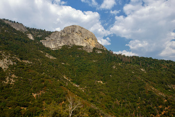 Obraz premium Sequoia National Park, California, USA: View of Moro Rock from underneath (famous granite dome formation that can be used as stairway to hike to the top). One of the most popular places in the Park.