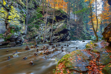 Fototapeta premium Autumn, fall wild river Doubrava, picturesque landscape.