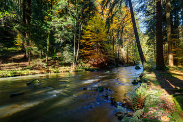 Autumn, fall wild river Doubrava, picturesque landscape.