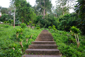 Stairs with fence in spring forest to hillside