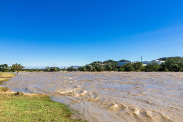 台風で増水した多摩川