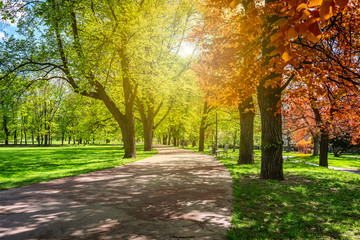 Magical autumn park with path and fantastic glow, fairytale landscape with red foliage