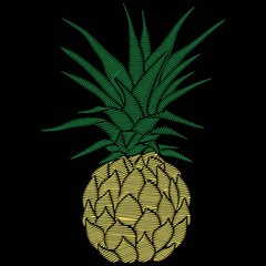 pineapple embroidery - vector, illustration