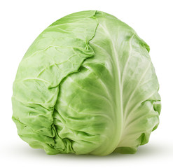 Fototapeta premium Green cabbage