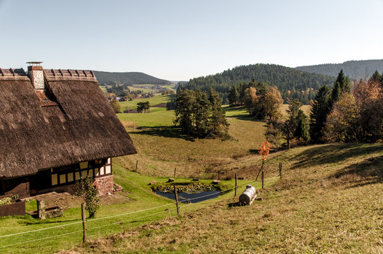 Idylle im Schwarzwald