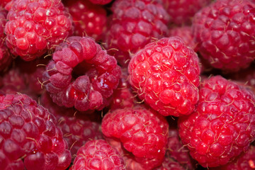 Closeup of raspberries for background/texture