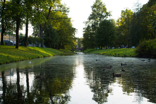 River in Aleksandrovski park in Tsarskoye Selo, Pushkin, Staint Petersburg, Russia in summer