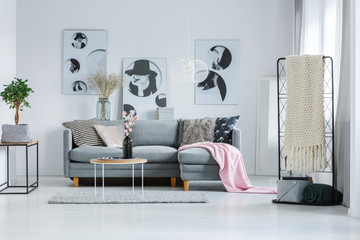 Pastel room with gray sofa