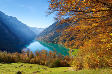 Klöntalersee Herbstblätter See Wald Wiese Berge blauer Himmel