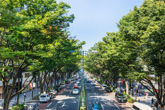 2 712 Best 表参道 Images Stock Photos Vectors Adobe Stock 2 712 Best 表参道 Images Stock Photos Vectors Adobe Stock