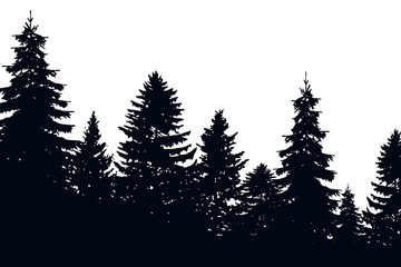 Fir trees silhouette