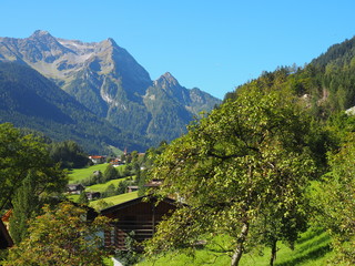Fototapeta na wymiar In der Nähe von Mayrhofen im Zillertal