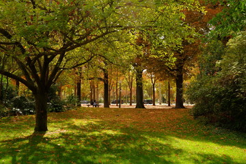 Automne aux Champs Élysées, Paris, France