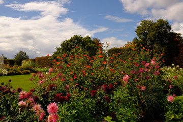 les jardins des fleurs d'automne, Paris, France