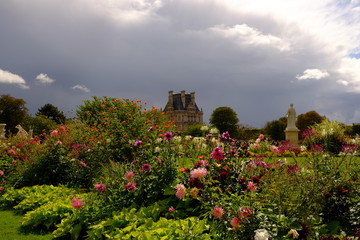Au Jaridin des Tuileries d'automne, Paris, France