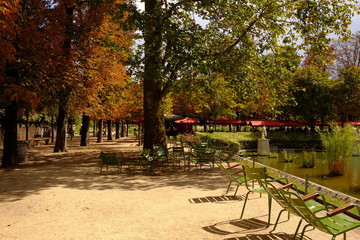 Au Jaridin des Tuileries d'automne, Paris, France