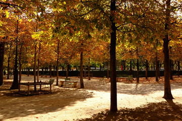 Automne à Paris, France