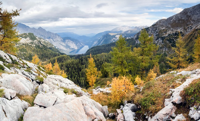 Fototapeta na wymiar Colorful larch trees with mountains and lake. National Park Berchtesgaden.