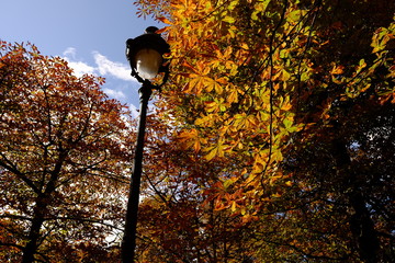 Automne à Paris, France