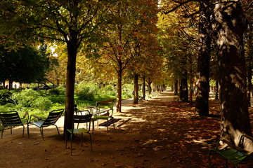 Automne à paris, France