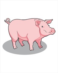 sweet fat pink Pig - vector drawing - isolate white background
