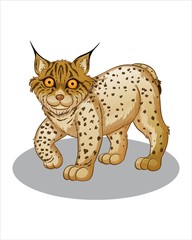 Lynx with big eyes - vector drawing - isolate white background
