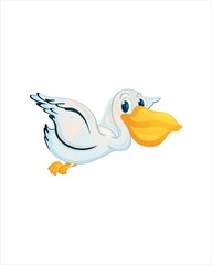 Little cute Pelican - vector drawing - isolate white background