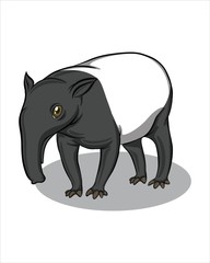 beautiful Papir -vector drawing -isolated white background