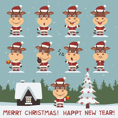 Merry christmas and happy new year! Set of bull in different poses on background snowflakes. Collection of little bull in cartoon style for christmas design.