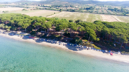 Aerial view of pinewood in front of the ocean