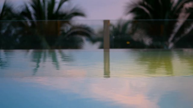 4K, close up of swaying coconut palm tree leaves or midrib from sea wind at evening time after sunset, loop. swimming pool at foreground with copy space. footage for chill leisure vacation background 