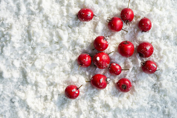 Paradise apples on the snow