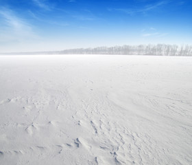 field of snow