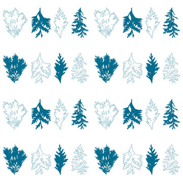 Floral vector seamless pattern with evergreen fur or pine tree twigs and branches on white background.